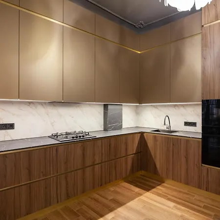 Royal Classic Art On Sichovych Striltsiv 17 Apartment Lviv