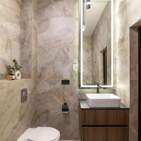 Royal Classic Art On Sichovych Striltsiv 17 Lvov